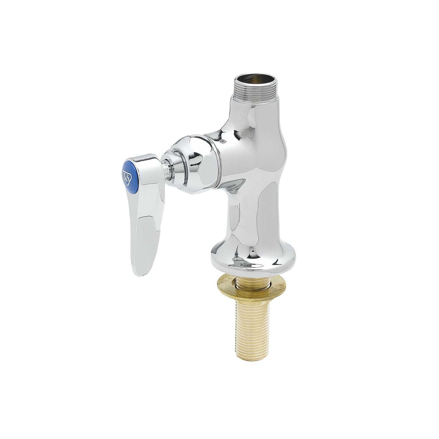 T&S Brass B-0205-LN