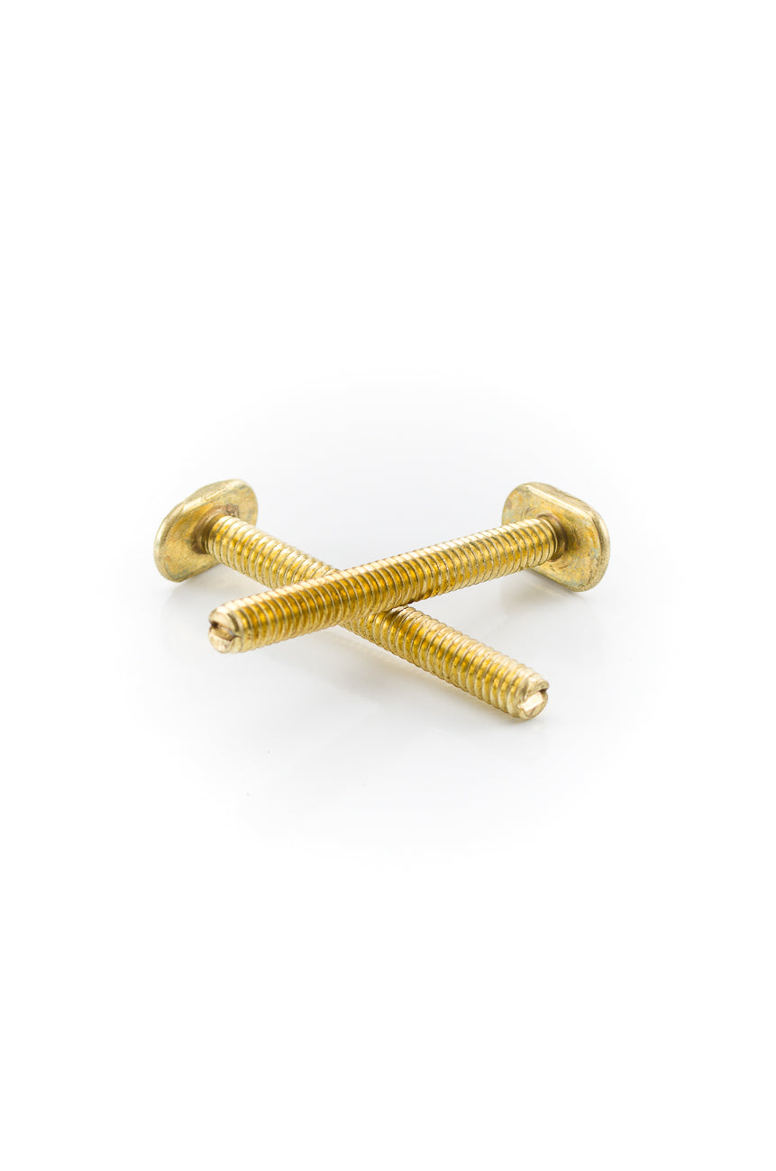 Pasco 110 1/4X2-1/4 BR CLOSET BOLT