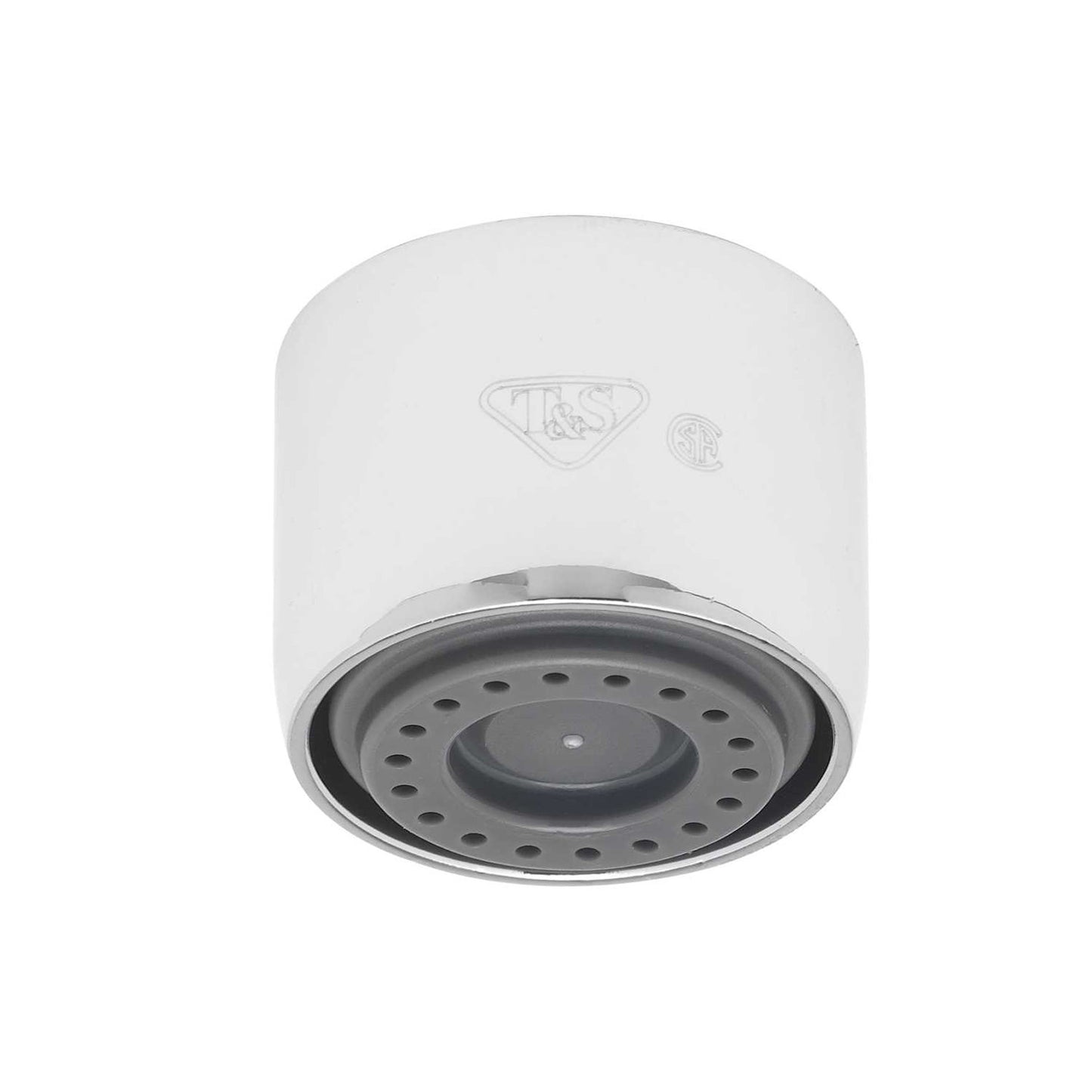T&S Brass B-0199-01-N05