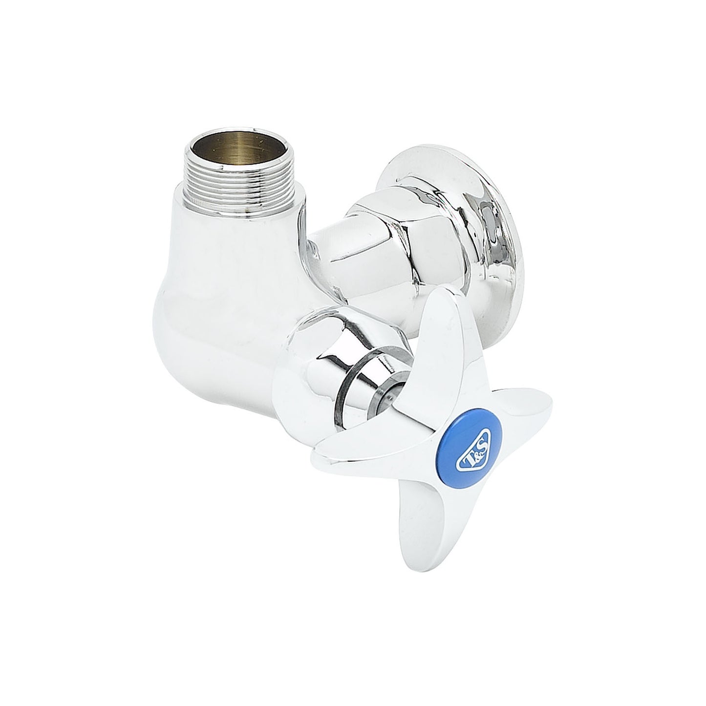 T&S Brass B-0210-LN