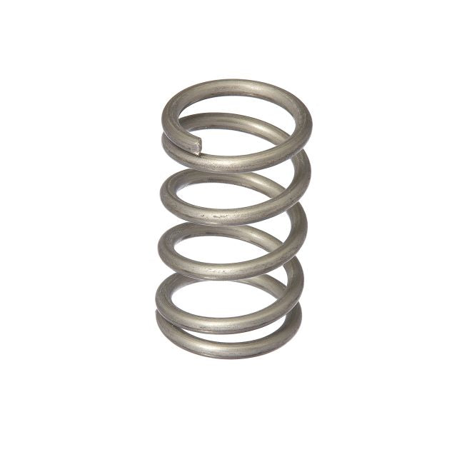 Fisher 2912-7501 Spring Spray Valve