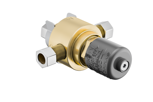 Symmons 8210BCKD MaxLine thermostatic mixing Valve with cabinet